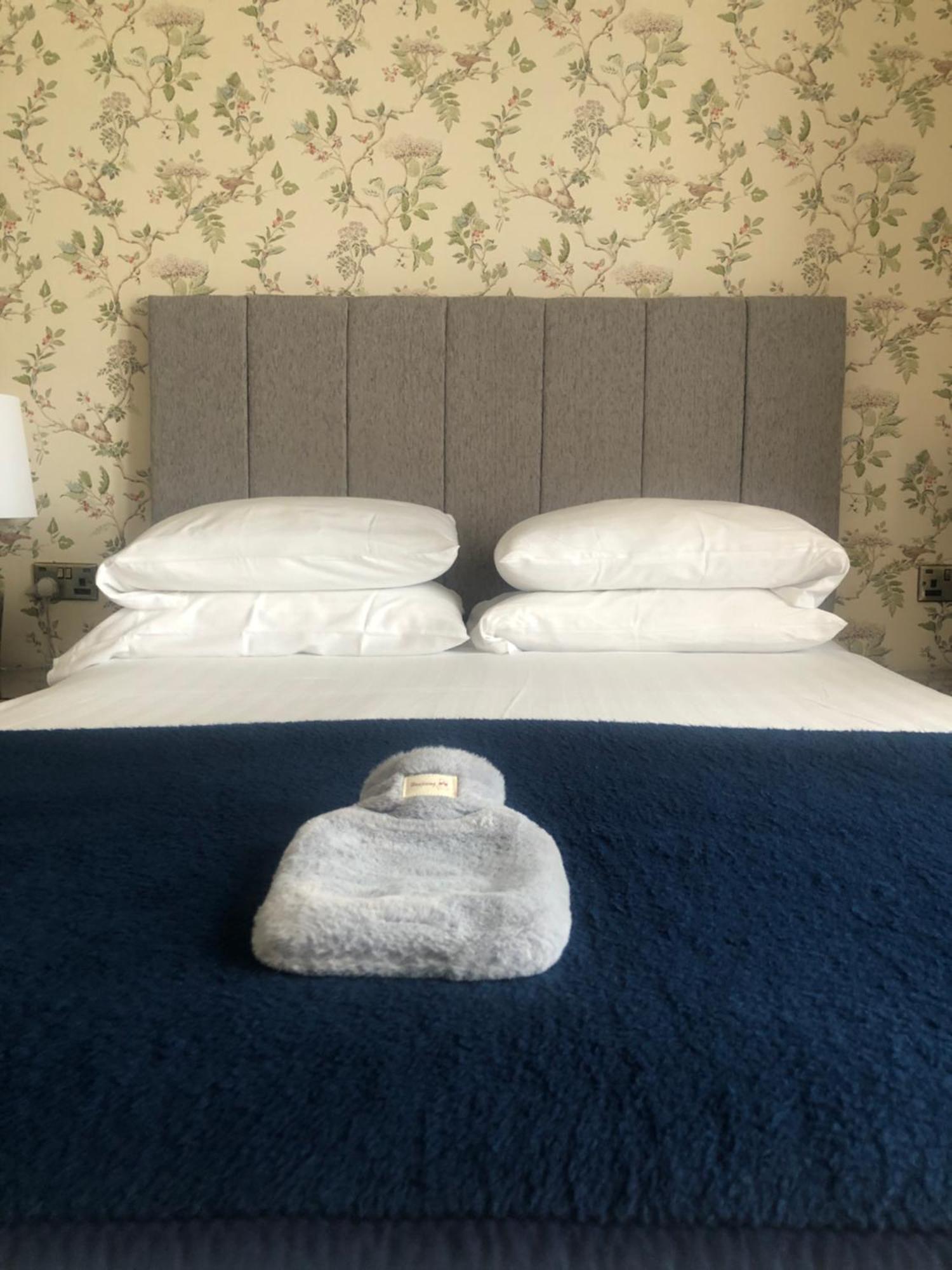 Helmsman Guesthouse Aberystwyth Exteriér fotografie